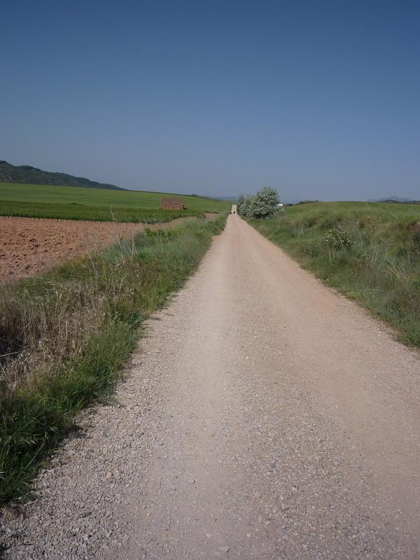 P1010548.JPG - vajon a végét látja az ember az útnak?